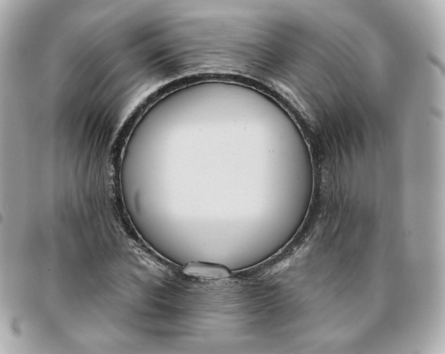 X0000096210926200802011318