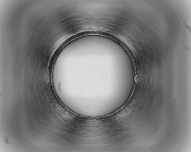 X0000096210927200802011318