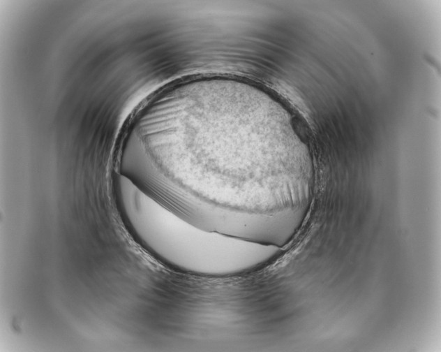 X0000096210928200802011318