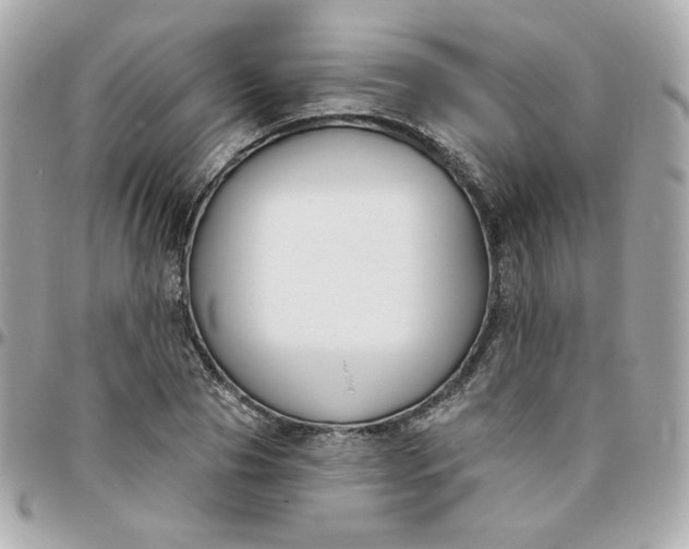 X0000096210929200802011318