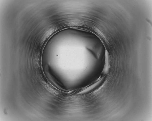 X0000096210930200802011318