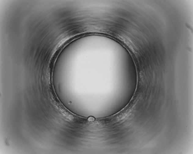 X0000096210931200802011318