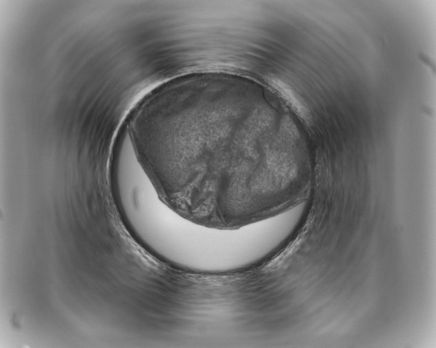 X0000096210932200802011318