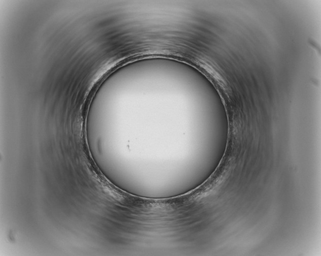 X0000096210933200802011318