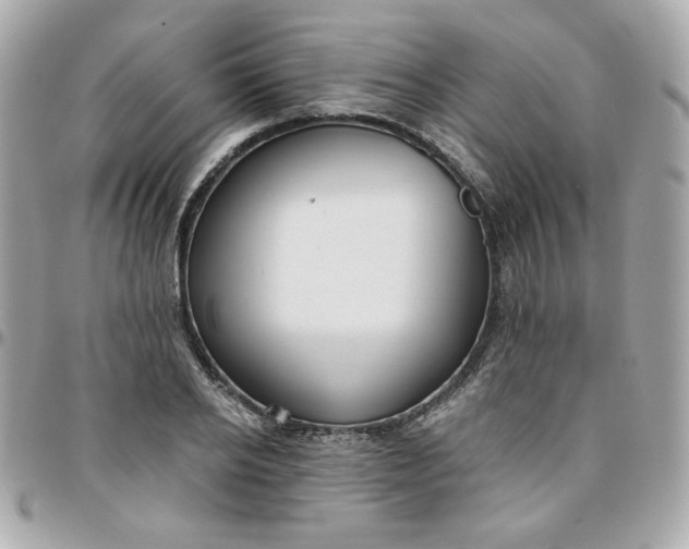 X0000096210934200802011318