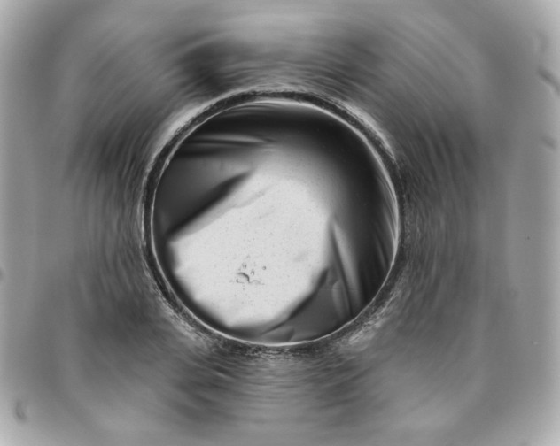 X0000096210935200802011318