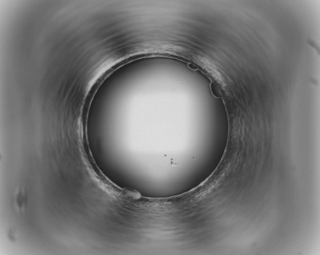 X0000096210936200802011318