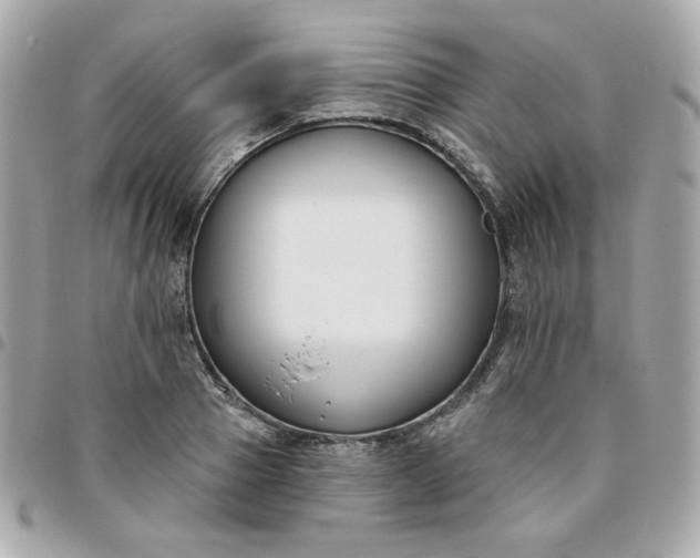 X0000096210937200802011318