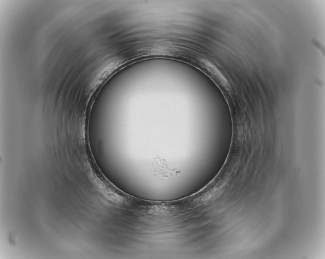 X0000096210938200802011318