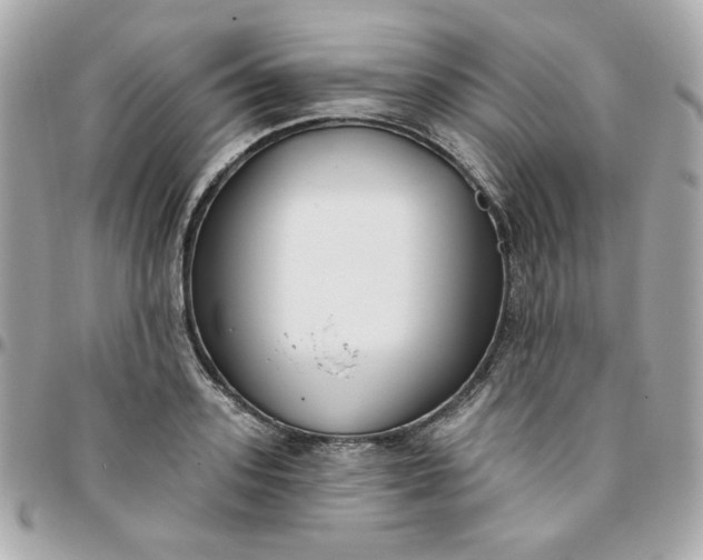 X0000096210939200802011318