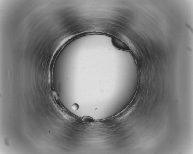 X0000096210940200802011318