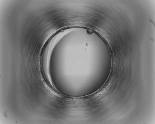 X0000096210941200802011318