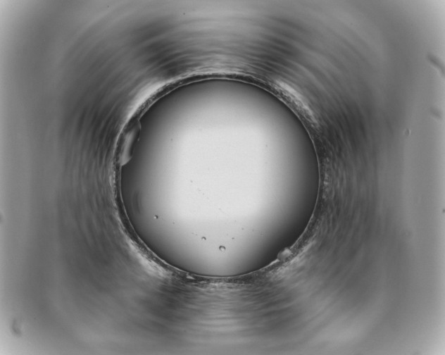 X0000096210942200802011318