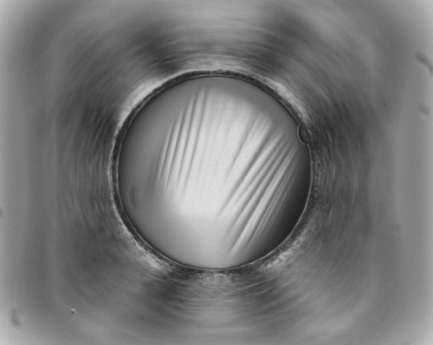 X0000096210943200802011318