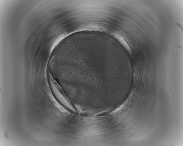 X0000096210944200802011318