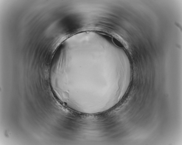 X0000096210945200802011318