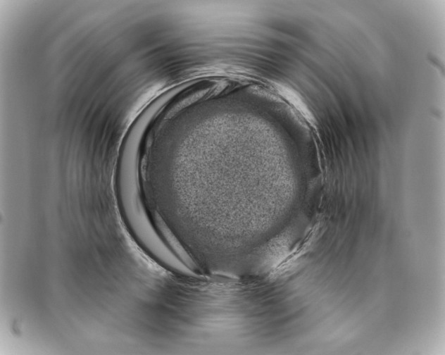 X0000096210946200802011318