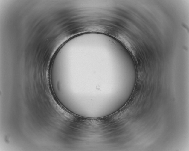 X0000096210947200802011318