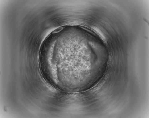 X0000096210948200802011318