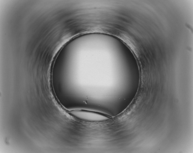 X0000096210949200802011318