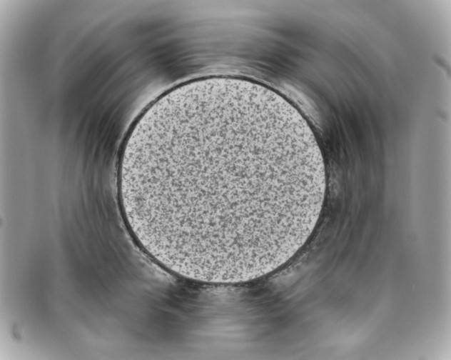 X0000096210950200802011318