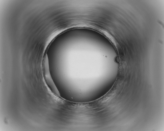 X0000096210951200802011318