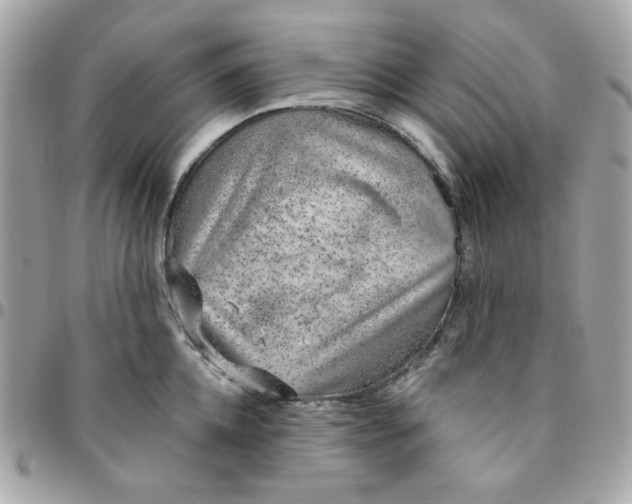 X0000096210952200802011318