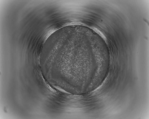 X0000096210953200802011318