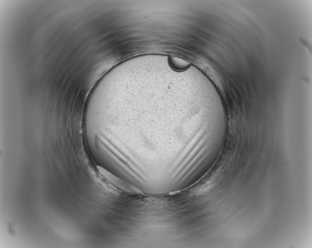 X0000096210954200802011318