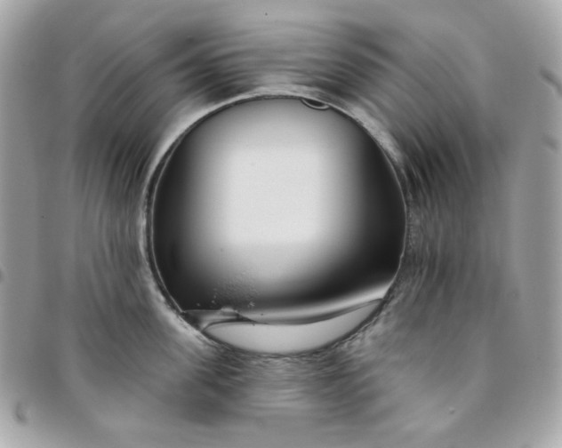 X0000096210955200802011318