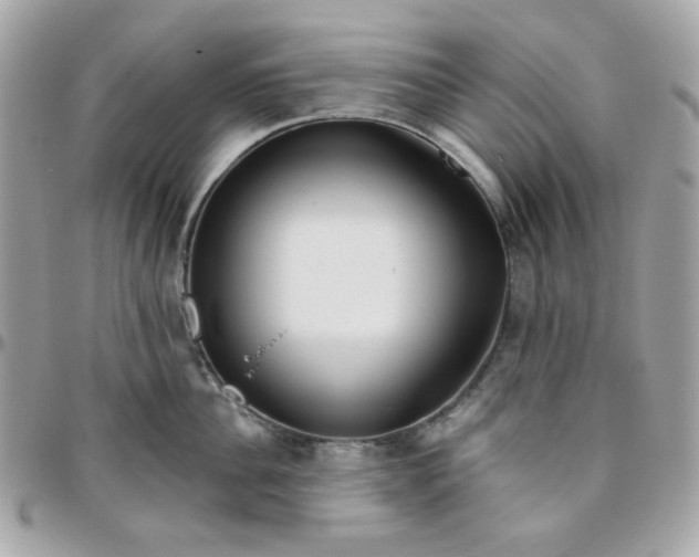 X0000096210956200802011318