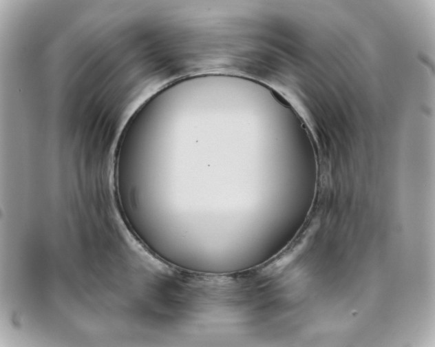 X0000096210957200802011318