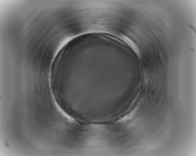 X0000096210958200802011318