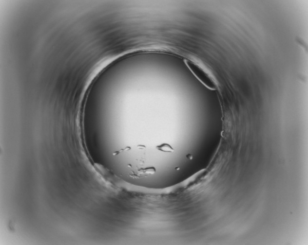 X0000096210959200802011318