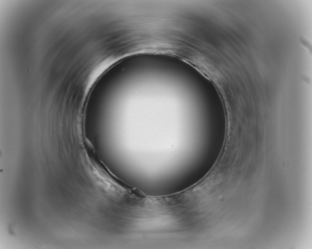 X0000096210960200802011318