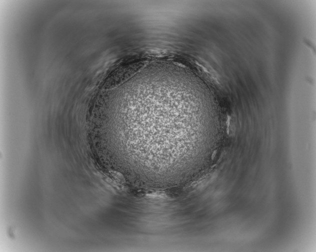 X0000096210961200802011318