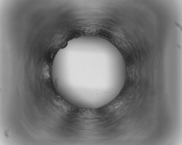 X0000096210962200802011318