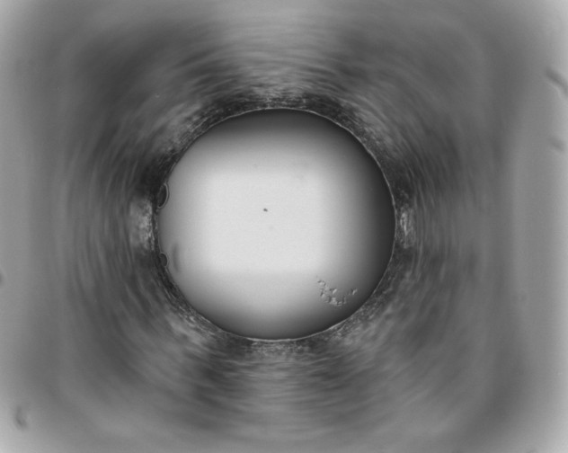 X0000096210963200802011318