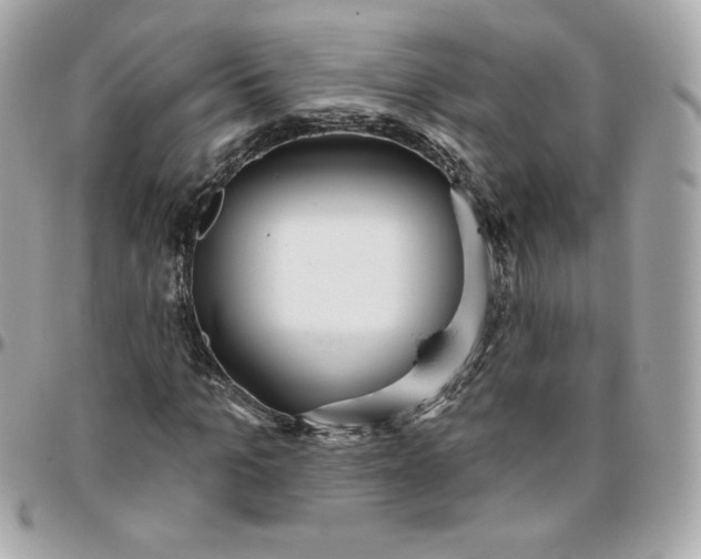 X0000096210965200802011318