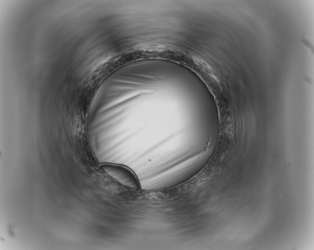 X0000096210966200802011318