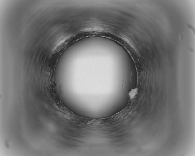 X0000096210967200802011318