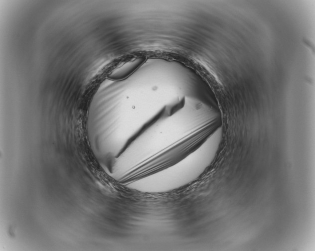 X0000096210968200802011318