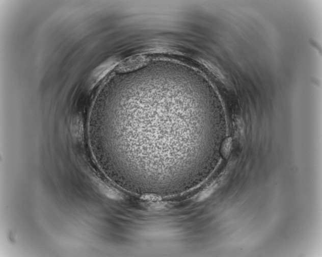 X0000096210969200802011318