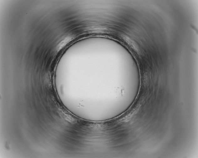 X0000096210970200802011318