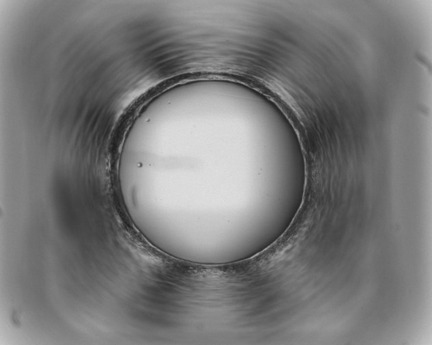 X0000096210971200802011318