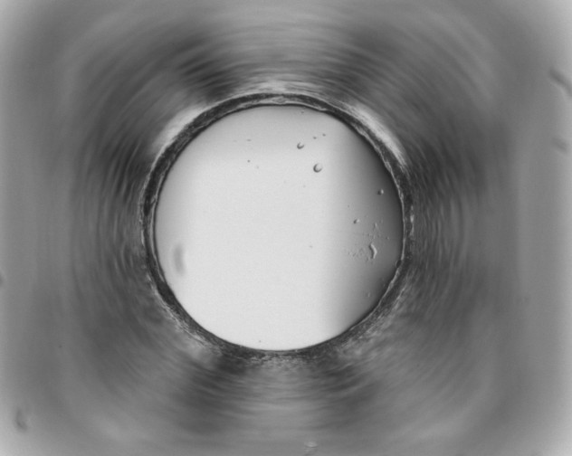 X0000096210972200802011318