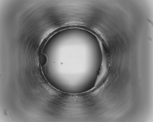 X0000096210973200802011318