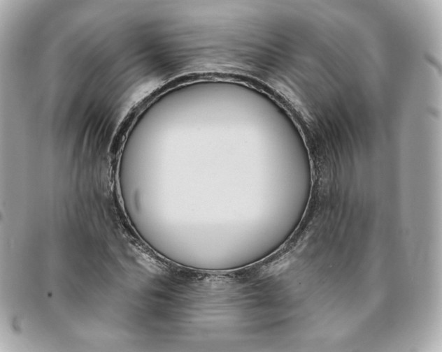 X0000096210974200802011318