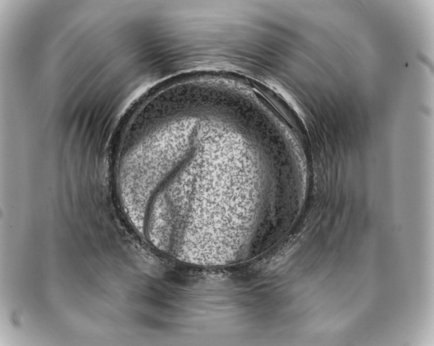 X0000096210975200802011318