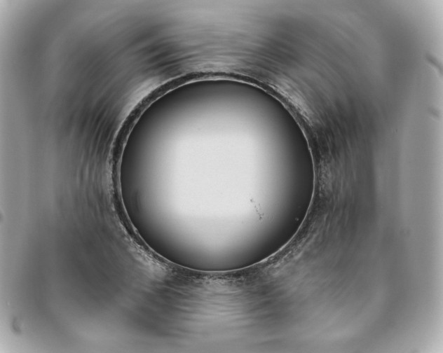 X0000096210976200802011317